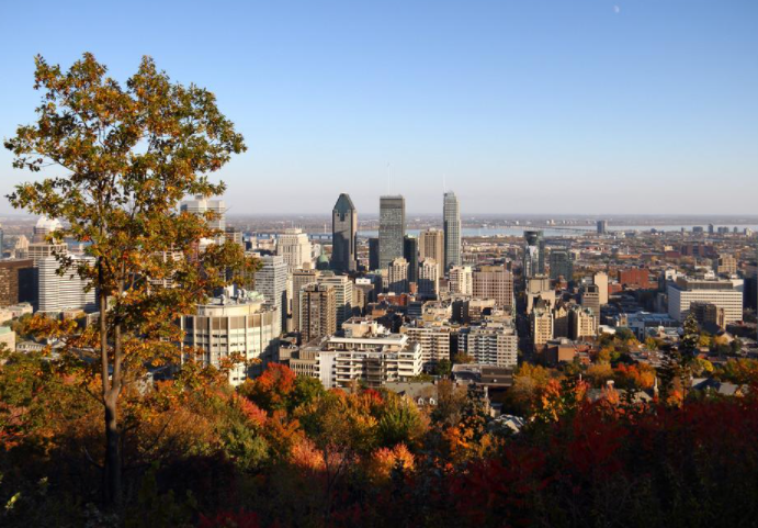 加拿大NL省优先技能移民