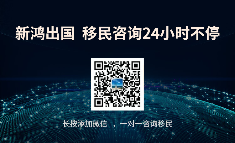 新鸿出国